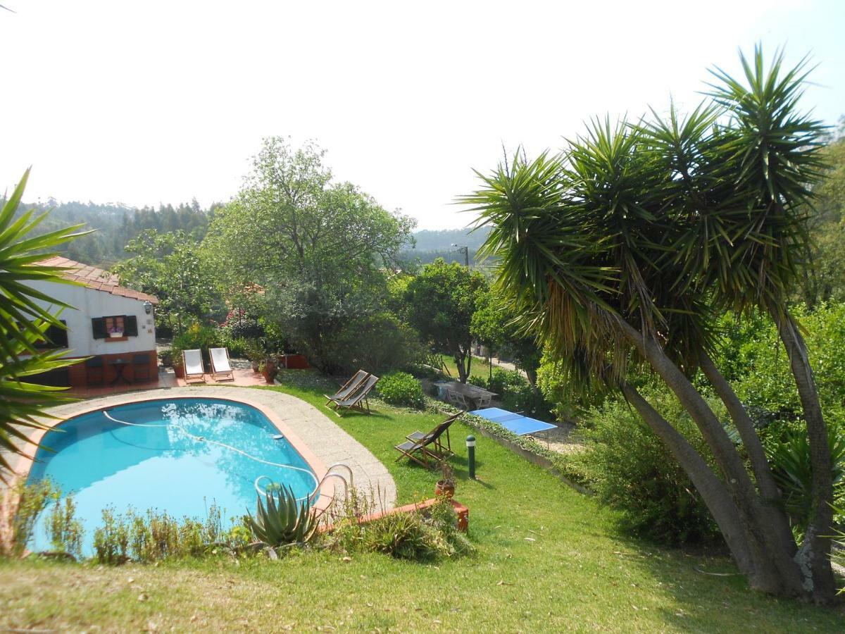 Casa Da Avo - Vale Da Silva Villas Albergaria-a-Velha Exteriör bild